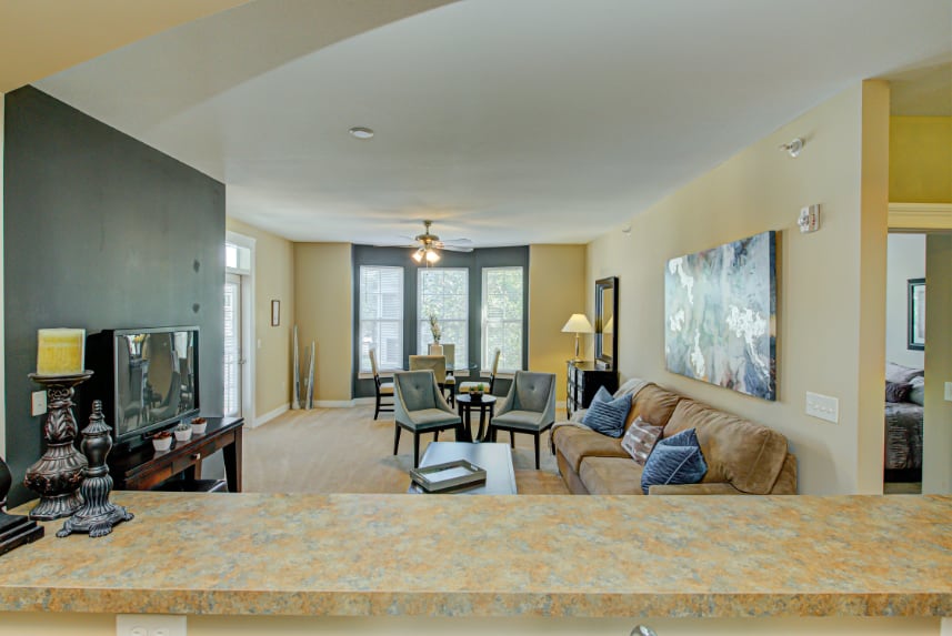 Living room in Zionsville apartment